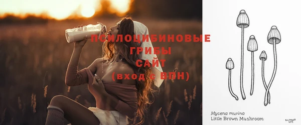 молекула духа Армянск