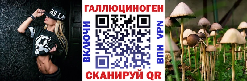 наркотики  Каменск-Шахтинский  Псилоцибиновые грибы прущие грибы 