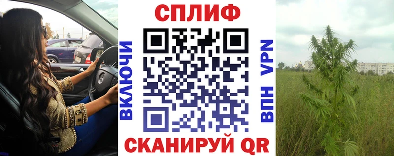 Бошки марихуана сатива дарнет шоп Каменск-Шахтинский
